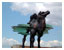 Camel in Mirage